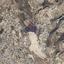 land for sale agia fyla limassol 8936268 thumbnail 17636781