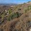 land for sale asgata limassol 840268 thumbnail 17253484