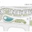 3 bedroom apartment for sale agios athanasios limassol 7784368 thumbnail 10417635