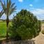5 bedroom detached house for sale paralimni famagusta 1236468 thumbnail 5601030