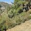 land for sale moutoullas nicosia 8106468 thumbnail 13239890