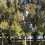 2 bedroom apartment for rent germasogeia limassol 8531568 thumbnail 15539730