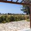 2 bedroom ground floor apartment for sale kato paphos paphos 8946568 thumbnail 17714964