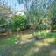 5 bedroom detached house for sale ekali limassol 7736568 thumbnail 16298674