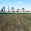 land for sale athienou larnaca 1744568 thumbnail 15597712