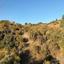 land for sale kato pyrgos nicosia 1205568 thumbnail 17253545