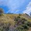 land for sale pelendri limassol 8526568 thumbnail 15594791