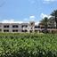 studio apartment building for sale agia marina chrysochous paphos 1161568 thumbnail 16518494