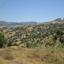 19064 SQM Land for sale in Statos Agios Fotios, Paphos thumbnail 15598633