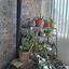 3 bedroom apartment for sale kokkinotrimithia nicosia 7987668 thumbnail 11991520