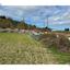 land for sale kallepeia paphos 7985668 thumbnail 14146646