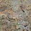 plot for sale latsia nicosia 7703668 thumbnail 12696088