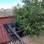 3 bedroom semi detached house for rent pallouriotissa nicosia 8063868 thumbnail 13002900
