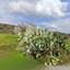 2918 SQM Land for sale in Vasa Kellakiou, Limassol thumbnail 15566657
