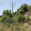 land for sale simou paphos 8664968 thumbnail 17011034