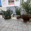 3 bedroom detached house for sale strovolos nicosia 1733078 thumbnail 15901766