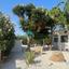 5 bedroom detached house for sale secret valley paphos 8716078 thumbnail 16391669