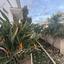 5 bedroom detached house for sale strovolos nicosia 8360078 thumbnail 14791650