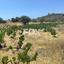 land for sale agios ambrosios limassol 1309078 thumbnail 7547325