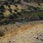 land for sale peyia paphos 823078 thumbnail 15599639