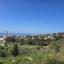land for sale tala paphos 8395078 thumbnail 14816009