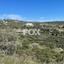 land for sale tsada paphos 1413078 thumbnail 5913102
