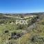 land for sale tsada paphos 1413078 thumbnail 5913111