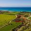 10034 SQM Land for sale in Makounta, Paphos thumbnail 10199388