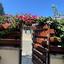 2 bedroom detached house for rent pyrgos limassol limassol 7650178 thumbnail 14665400
