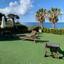 2 bedroom detached house for sale kissonerga paphos 8959178 thumbnail 17778887