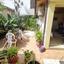 3 bedroom semi detached house for sale sotiros agios ioannis larnaca larnaca 1884178 thumbnail 7050238