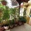 3 bedroom semi detached house for sale sotiros agios ioannis larnaca larnaca 1884178 thumbnail 7050239