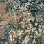 land for sale kathikas paphos 8532178 thumbnail 16306492