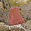 land for sale kathikas paphos 8532178 thumbnail 16306497