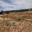 land for sale palaiometocho nicosia 1073178 thumbnail 16180349