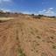 land for sale palaiometocho nicosia 1073178 thumbnail 16180367