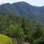 land for sale pigenia nicosia 8716178 thumbnail 16294803