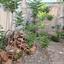 4 bedroom detached house for sale limassol municipality limassol 8913278 thumbnail 17421081
