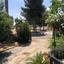 5 bedroom detached house for sale paphos municipality paphos 1355278 thumbnail 12374206