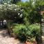 5 bedroom detached house for sale paphos municipality paphos 1355278 thumbnail 12374213