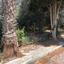 5 bedroom detached house for sale paphos municipality paphos 1355278 thumbnail 12374216
