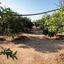 5 bedroom detached house for sale pervolia larnaca 7543278 thumbnail 14185463