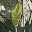 land for sale pano lefkara larnaca 8434278 thumbnail 15007183