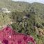 land for sale pano platres limassol 8275278 thumbnail 15158888