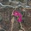 land for sale parekklisia limassol 7872278 thumbnail 14892026
