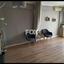 studio office for rent agios nektarios limassol 8833278 thumbnail 17001422