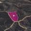 land for sale agios theodoros soleas nicosia 1172378 thumbnail 16030337