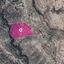 land for sale agios therapon limassol 1650378 thumbnail 5669038