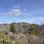 land for sale palaichori morfou nicosia 8140378 thumbnail 15596243