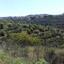 plot for sale tsada paphos 1680378 thumbnail 15309515